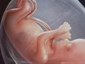 广东中山助孕公司排行榜前三机构介绍，用爱缔造生命之花