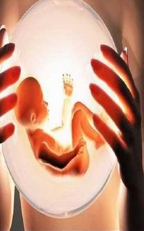 在邯郸做一次试管婴儿需要多少钱？有哪些需要注意的事项