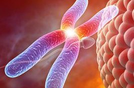 成都私立生殖医院助孕试管费用详解及推荐选择